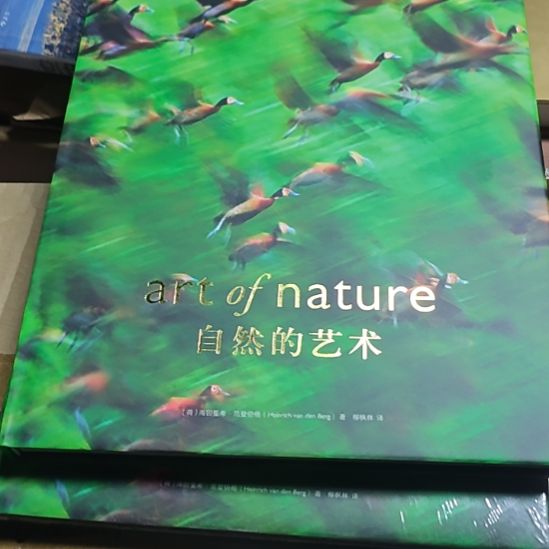 自然的艺术精装塑封全新