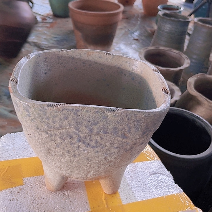 红陶128号15×17瑕疵