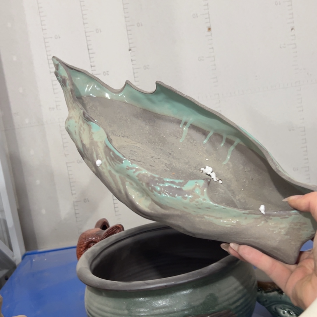 陶瓷花盆特价上新