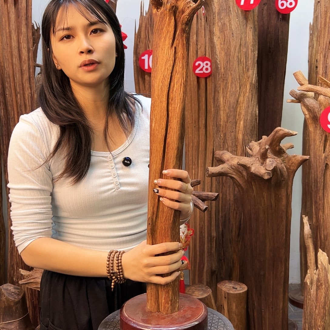 沉香摆件天然沉香原材料高品质