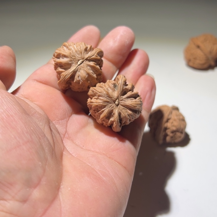 布***Q文玩核桃把件白狮子