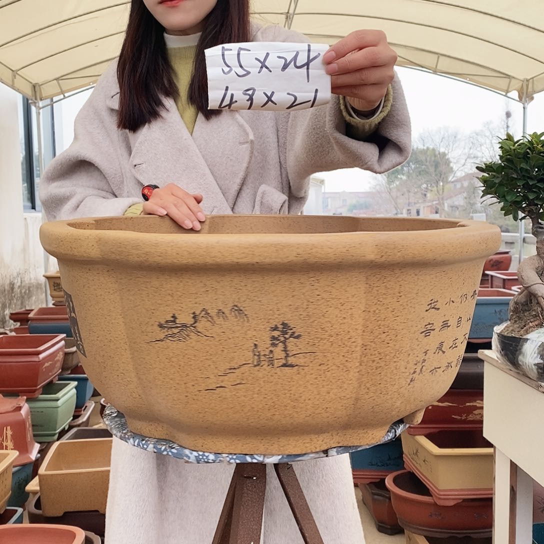 紫砂花盆紫砂花盆