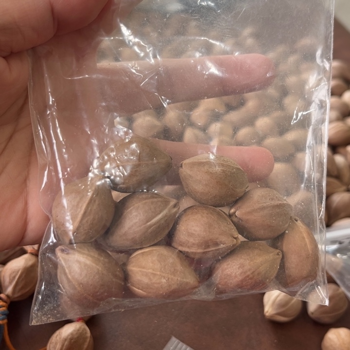 橄榄核手串/手链……1.9✖️28