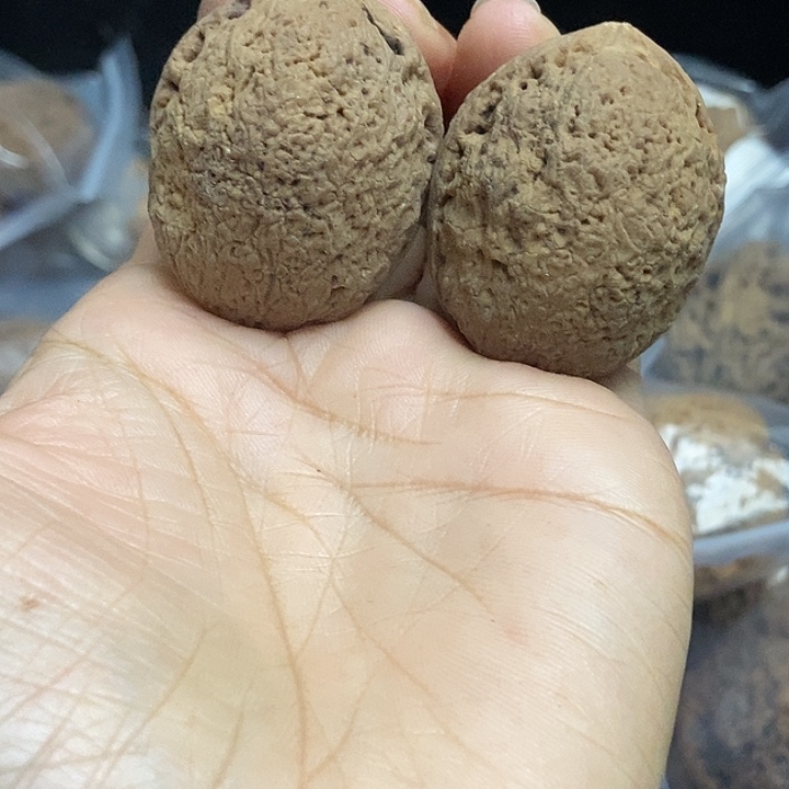 木质类云南铁核桃基地25