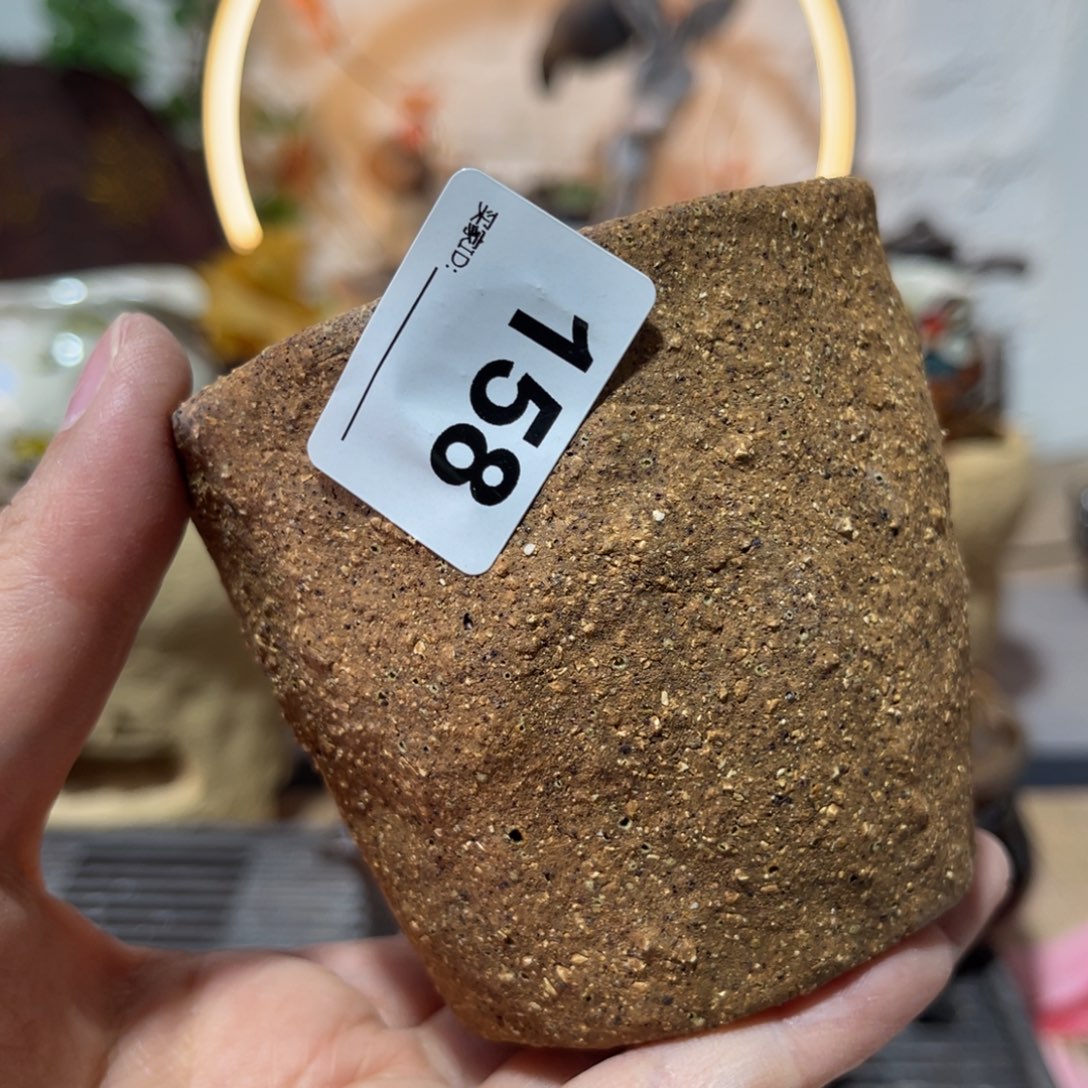 木村信弘柴烧保平