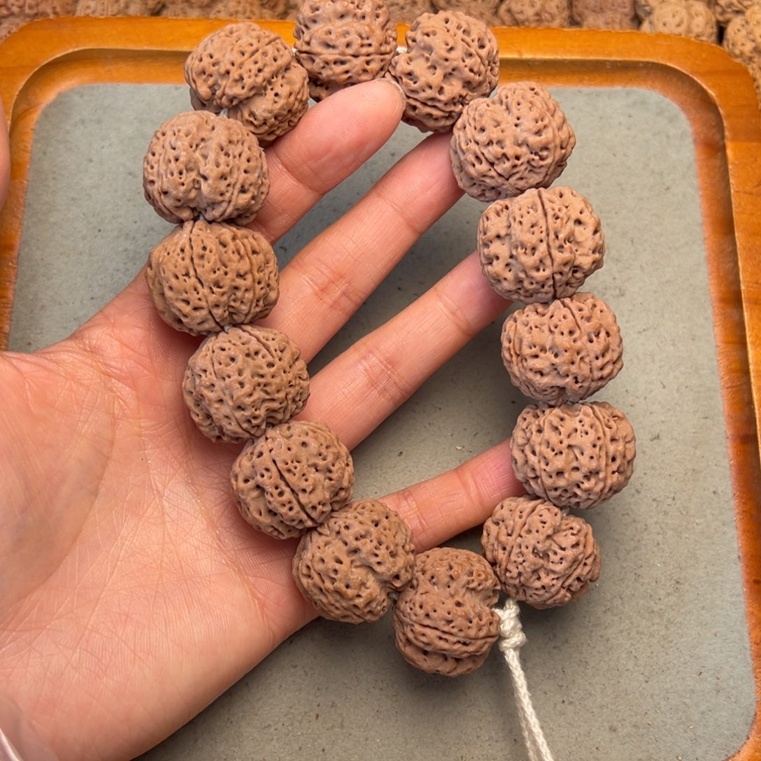 菩提4号金刚菩提满肉双龙25+