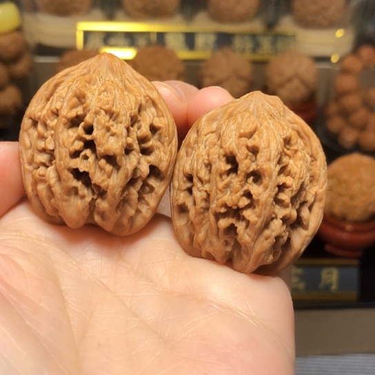 精品原桩九龙筋全品