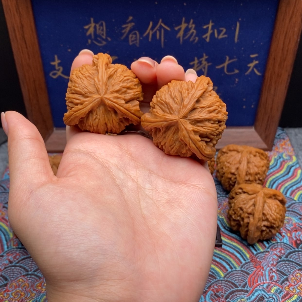 【闪购商品】W***i白狮