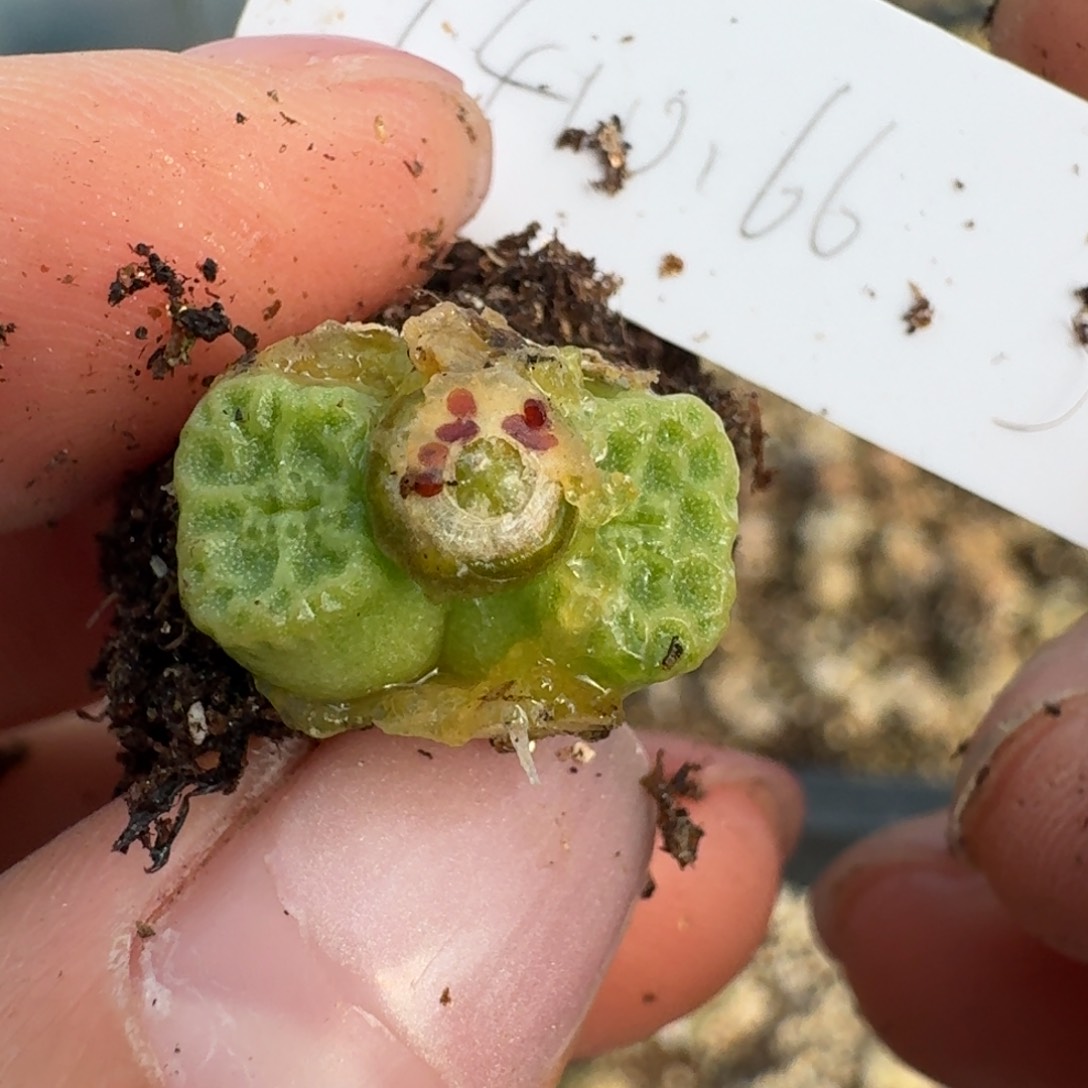 187墨KTV哦哦哦呜呜呜我哦