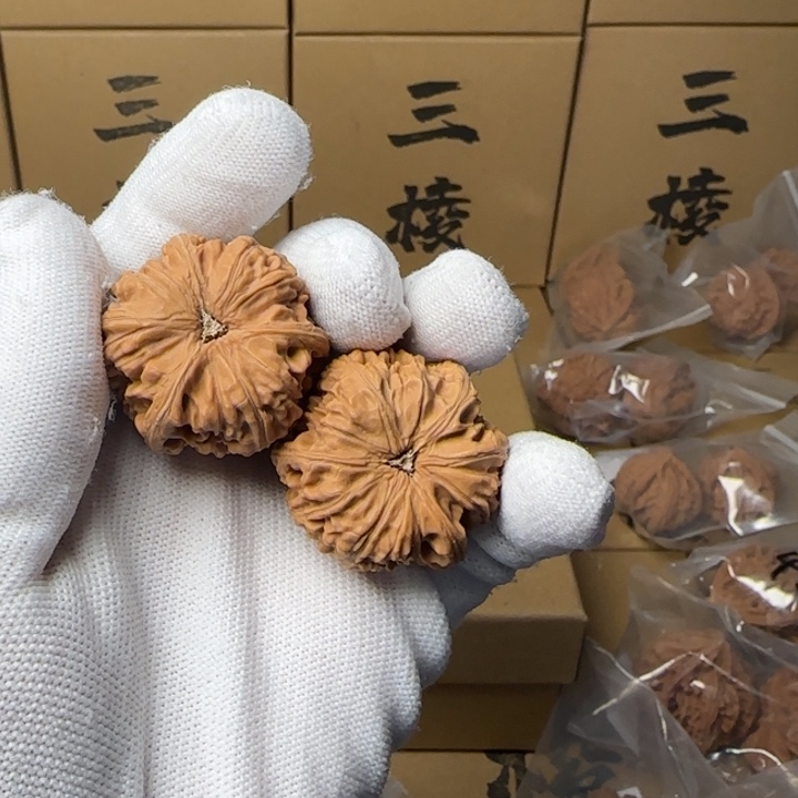 文玩核桃吊坠z*简单包装玉龙三棱