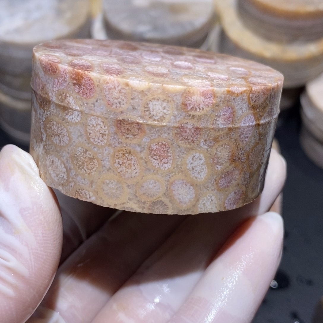 【闪购商品】硅化玉珊瑚玉未镶嵌