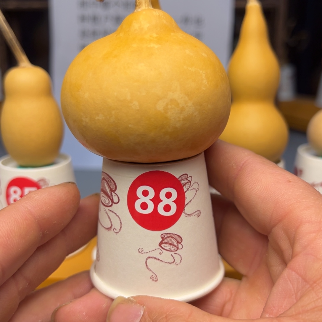 闪电购自助下单编号88