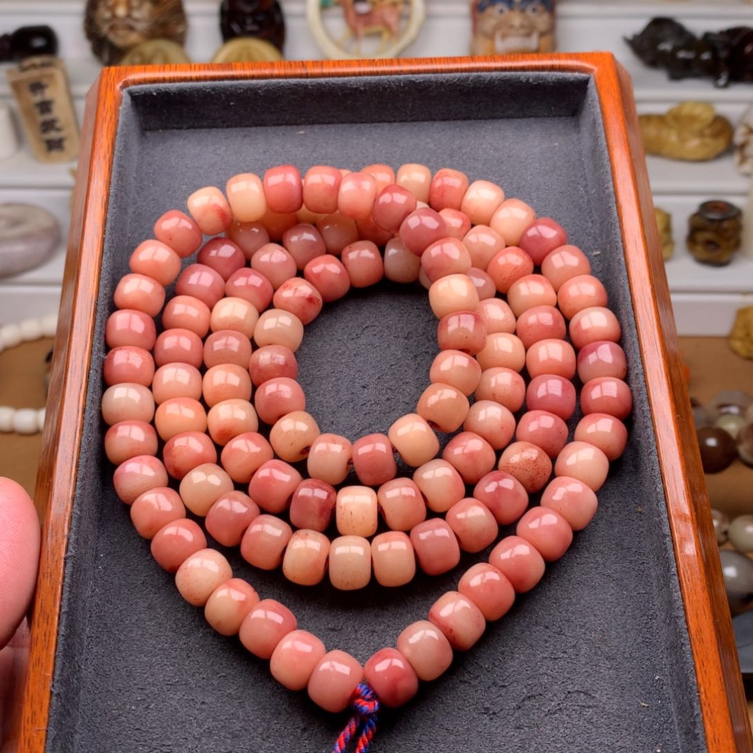 驼骨其他天天都在盘  10