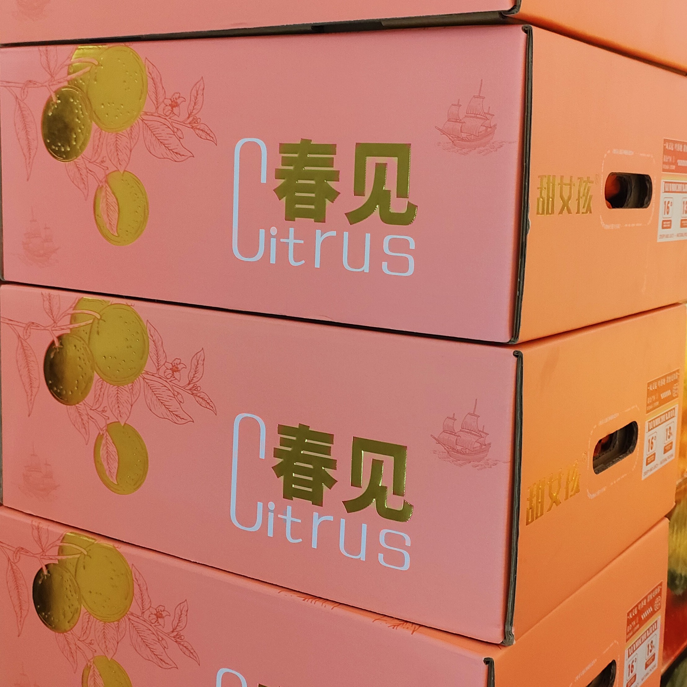 【春见甜女孩】粑粑柑一件