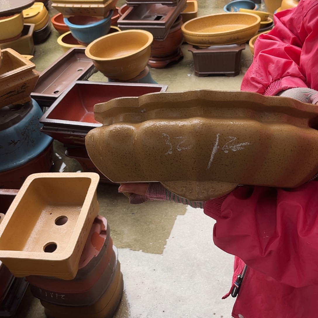 紫砂花盆盆景艺术