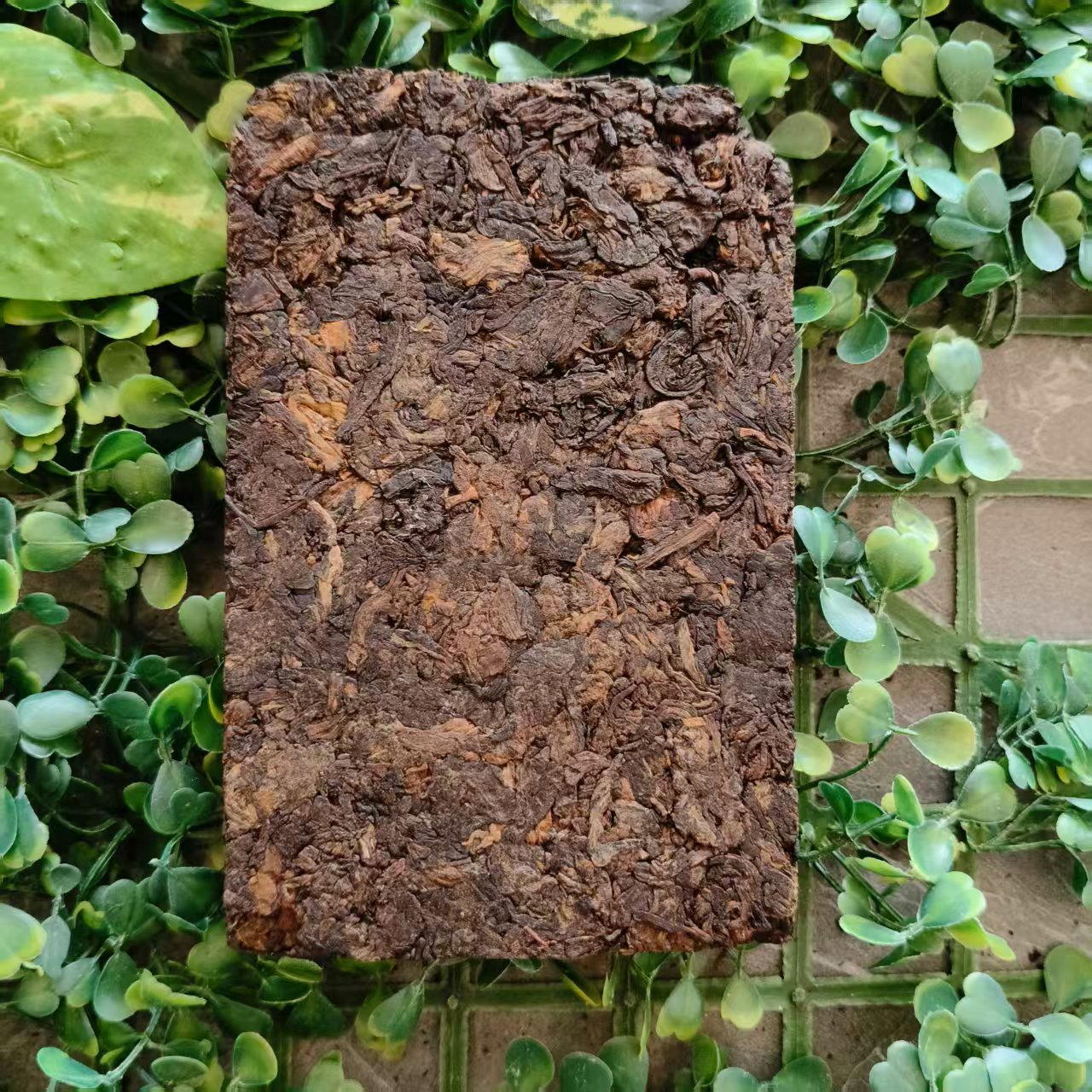 雨腾妹夫 “301 N楼”天X 苑 T研G方 T001"结"浆250g/砖（6月16）