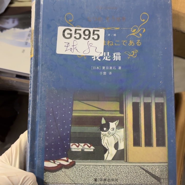 我是猫 闪购闪购闪购8