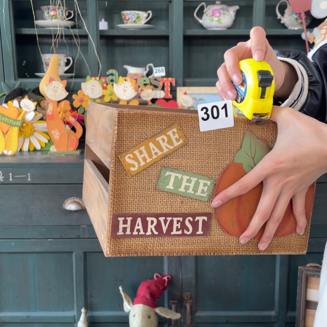 中古玩偶默认微瑕损米