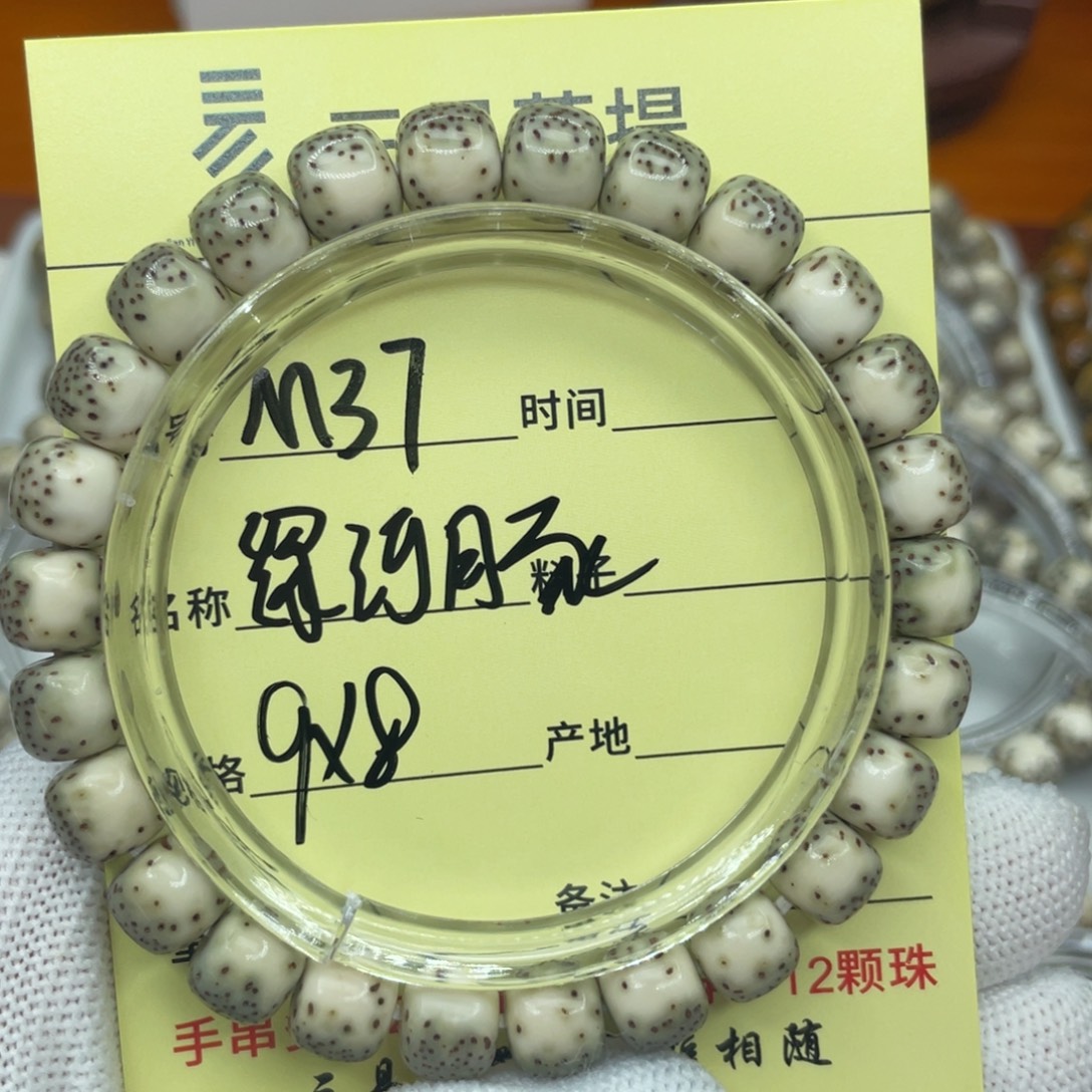 这****菩提籽类M绿河豚，