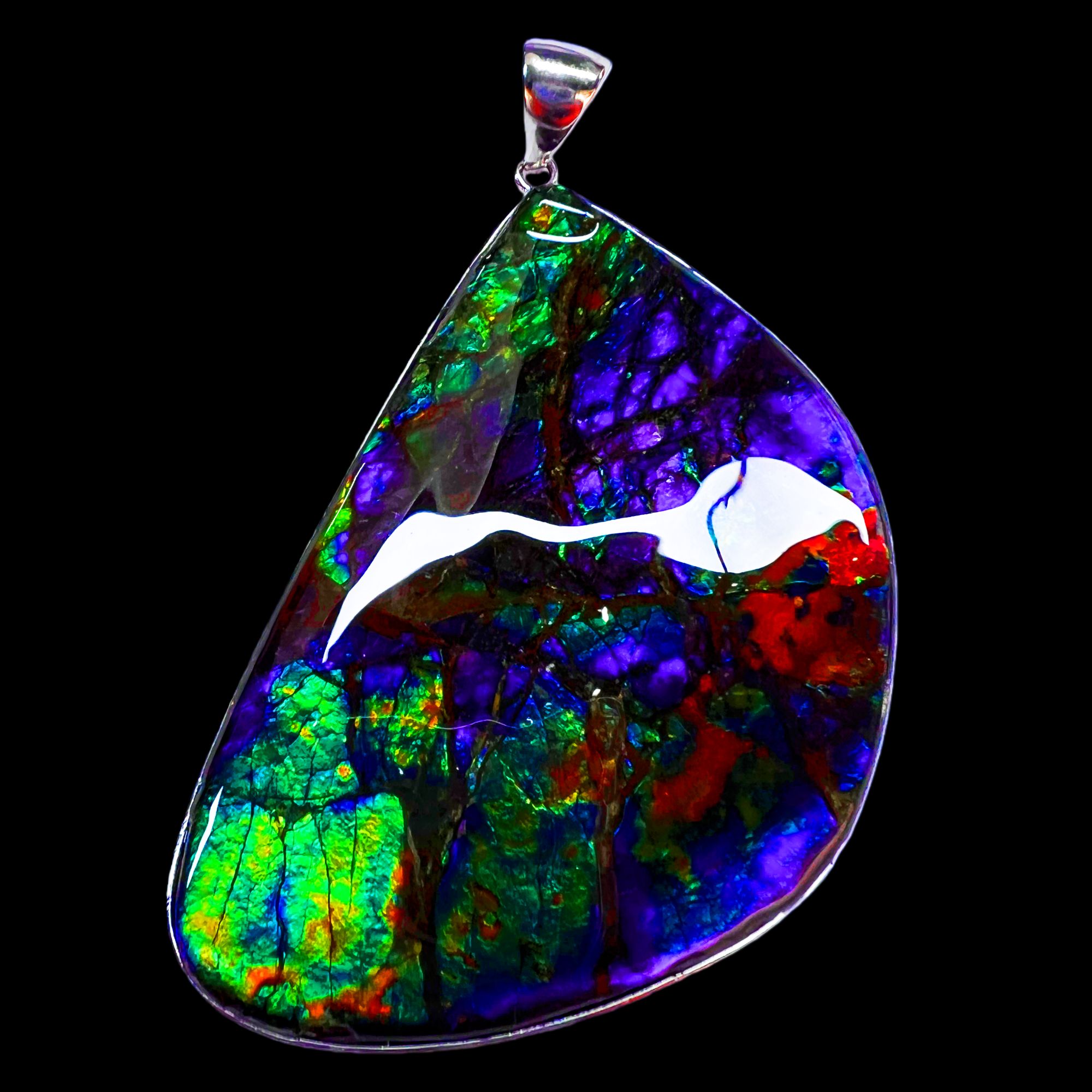 【斑彩】64.2mm 加拿大 N-29  DZ-H  贝壳创意饰品 H2