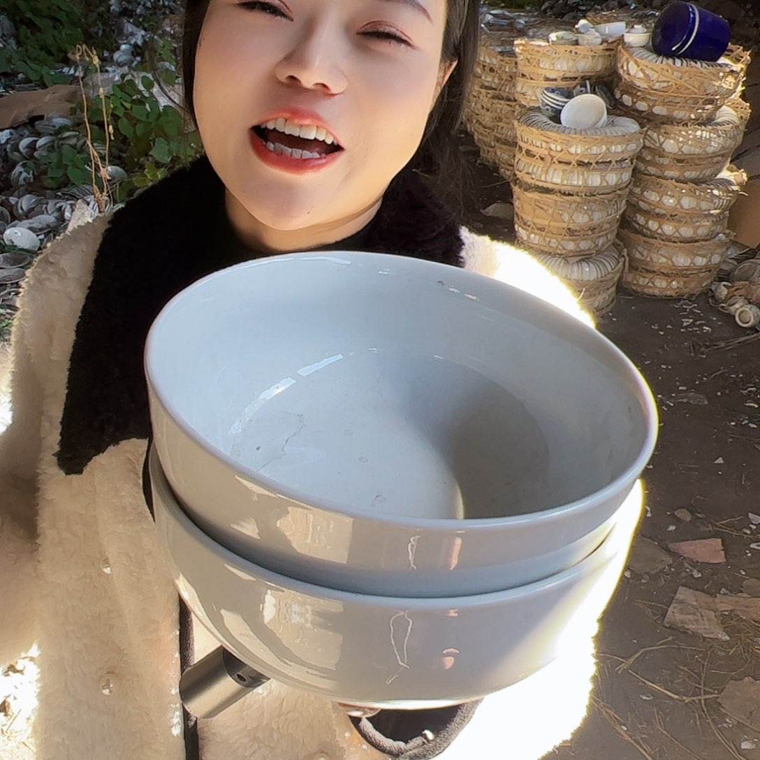 摆件瓷景德镇陶瓷8寸大汤碗2个