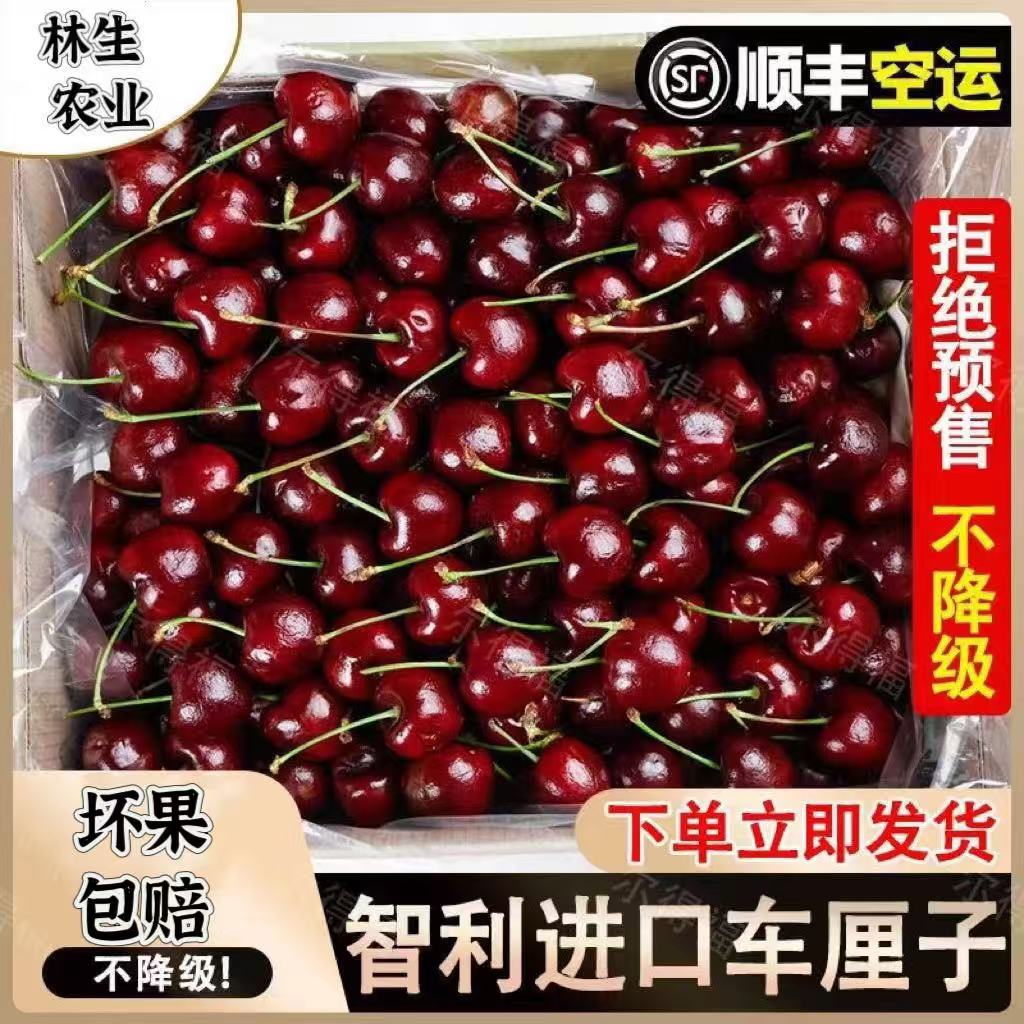 桑提娜进口智利J-3J车厘子1.8-4.8斤新鲜水果当季空运内附果径卡