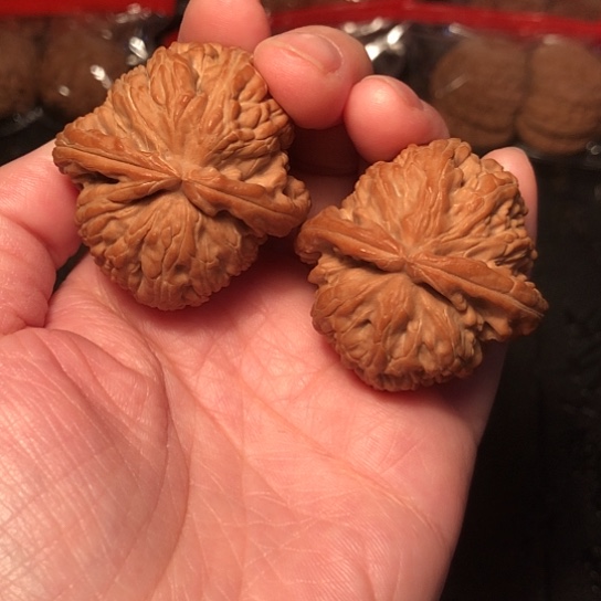 把件文玩核桃白狮子40+