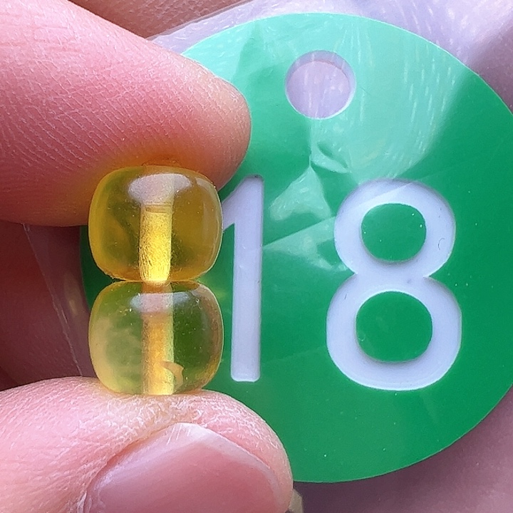 蜜蜡裸石未镶嵌金沙8m m