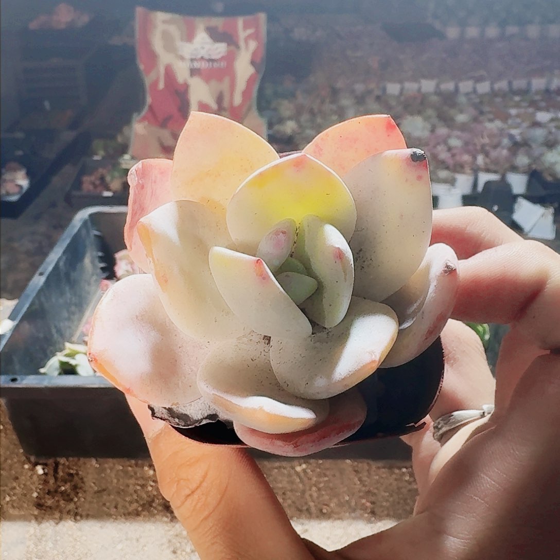 满20包邮零下拍保温箱