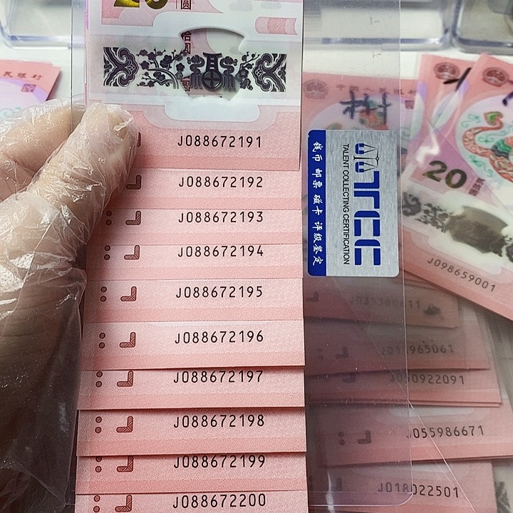 塑料蛇钞标十088672191中国梦
