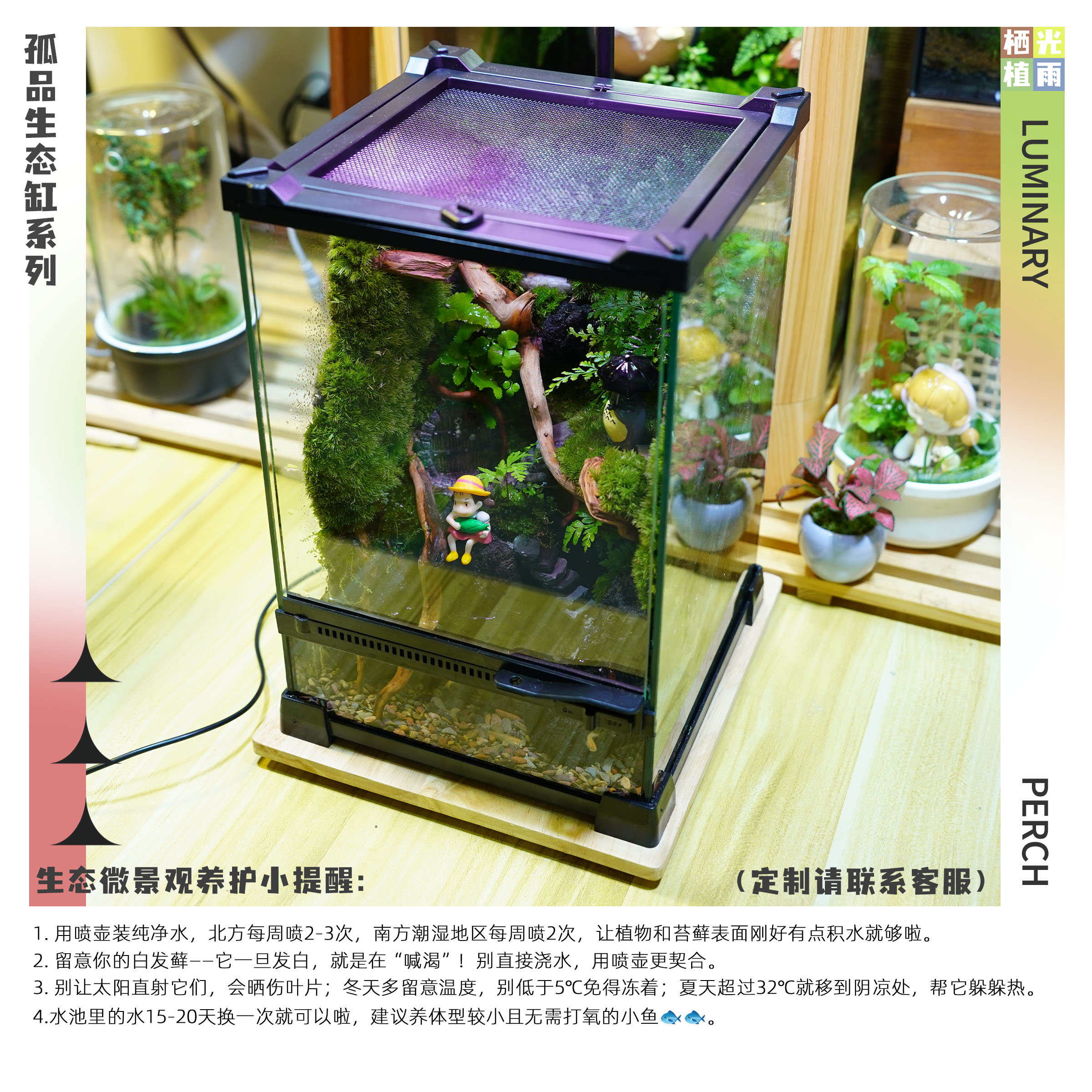 20*20*30生态缸定制（可带水域）
