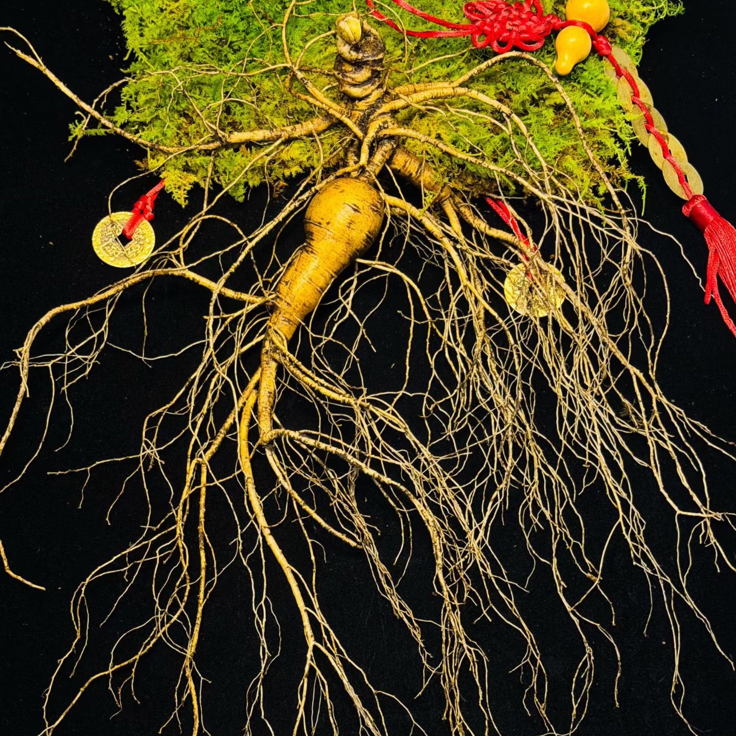 改价链接，长白山人参