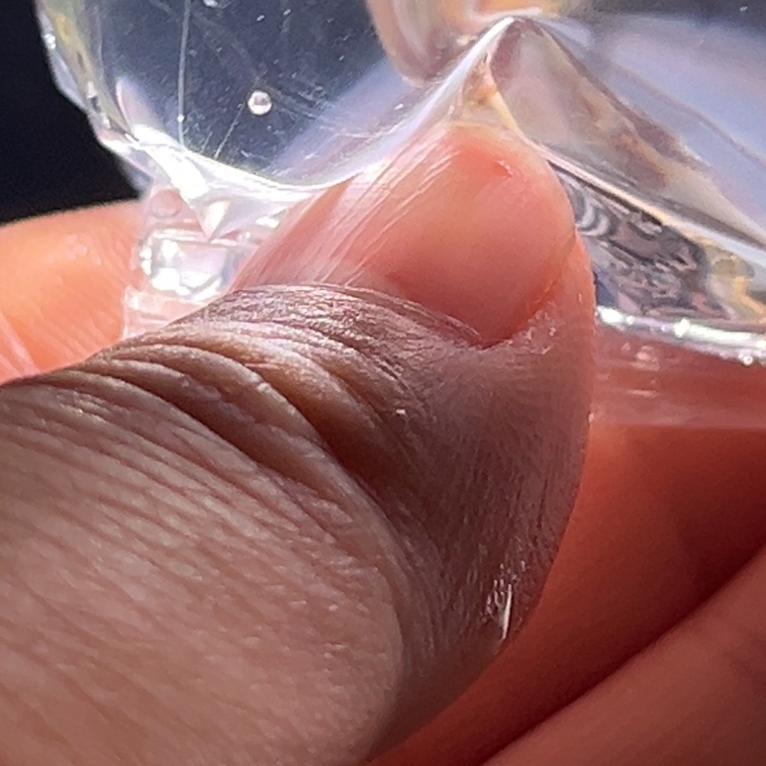 海水鱼孔雀鱼豹子两对