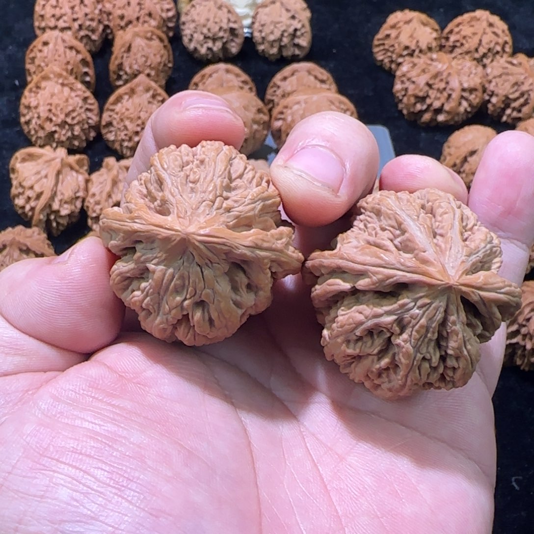 文玩核桃把件40粗筋