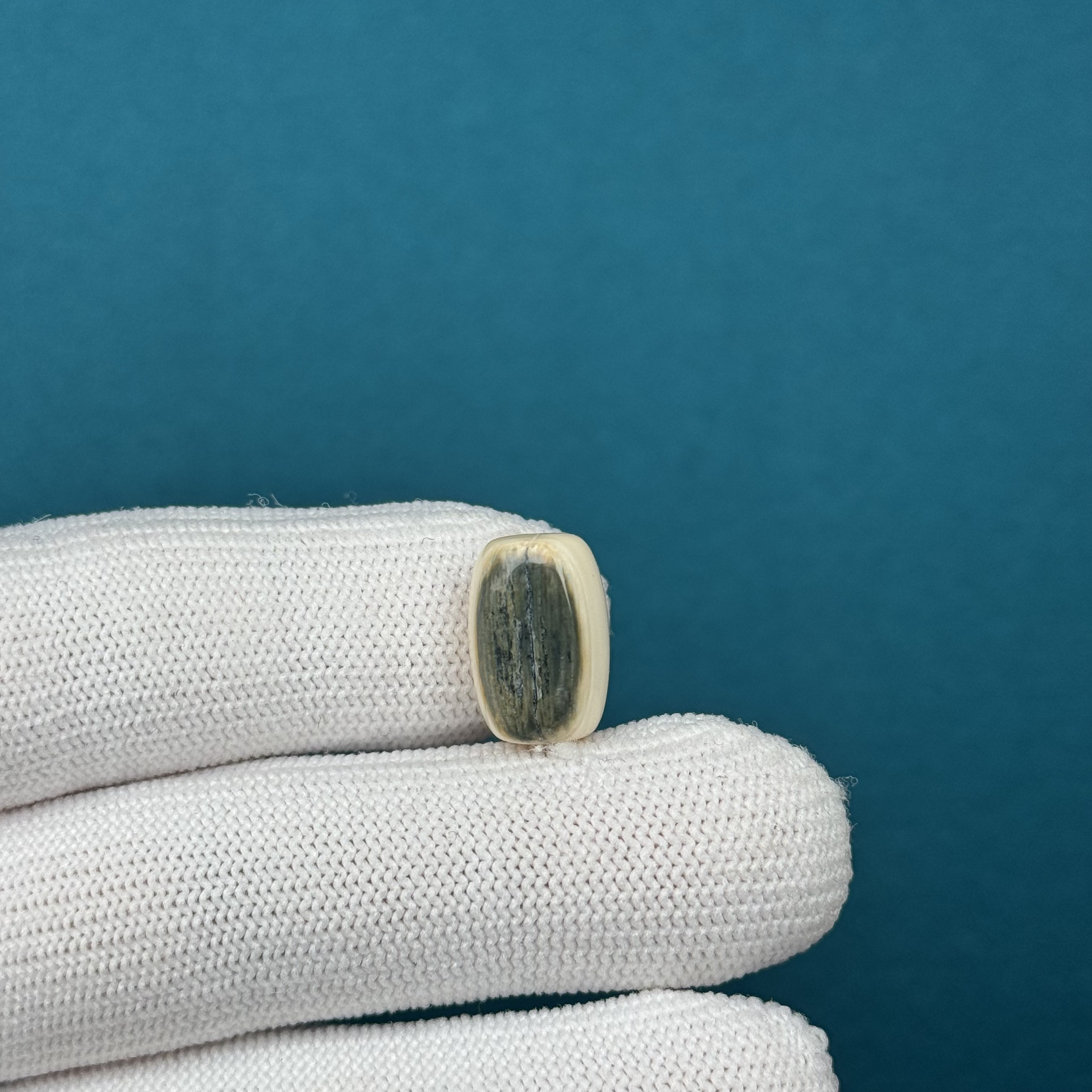 D67-36天然猛犸牙 黄金瞳桶珠10x15mm支持复检假一罚十