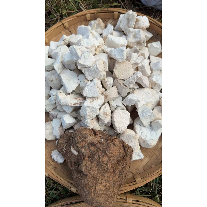 云南下山货 茯苓块