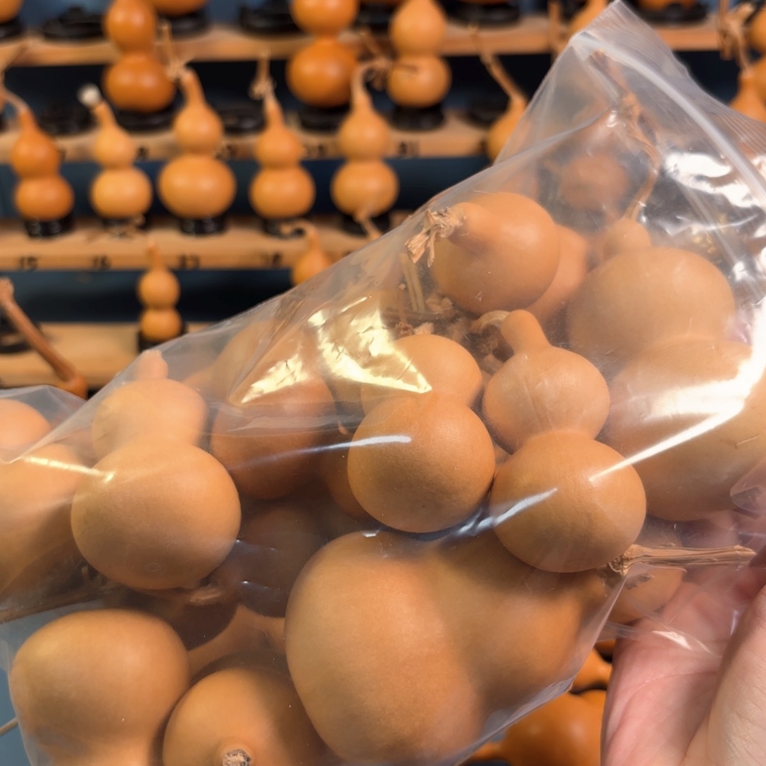 马***y木木木木木木木木木木木木木木木木