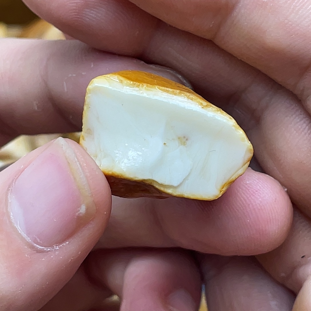 未镶嵌定制琥珀大***胎