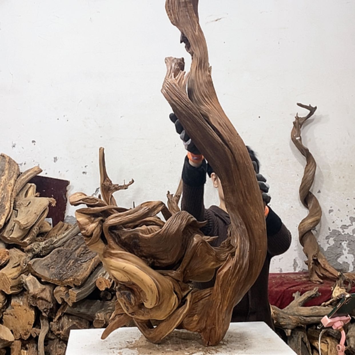 【闪购商品】柏木轩**龙我们都是好孩子