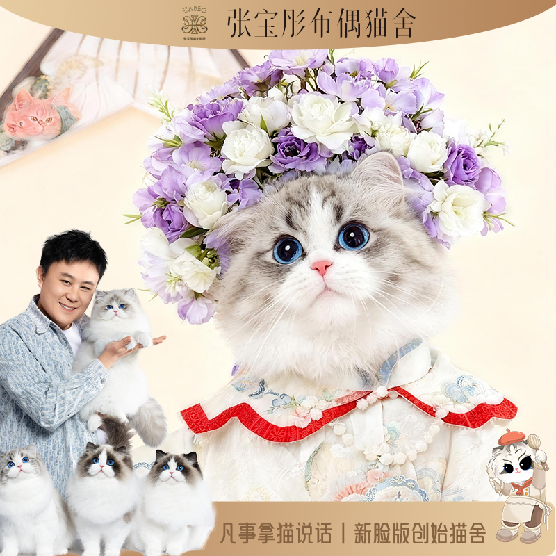 张宝彤布偶猫舍-甜丝丝妹妹 | 新脸版创始猫舍