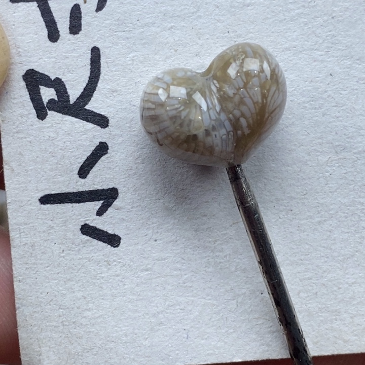 硅化珊瑚（珊瑚玉）未镶嵌颈饰