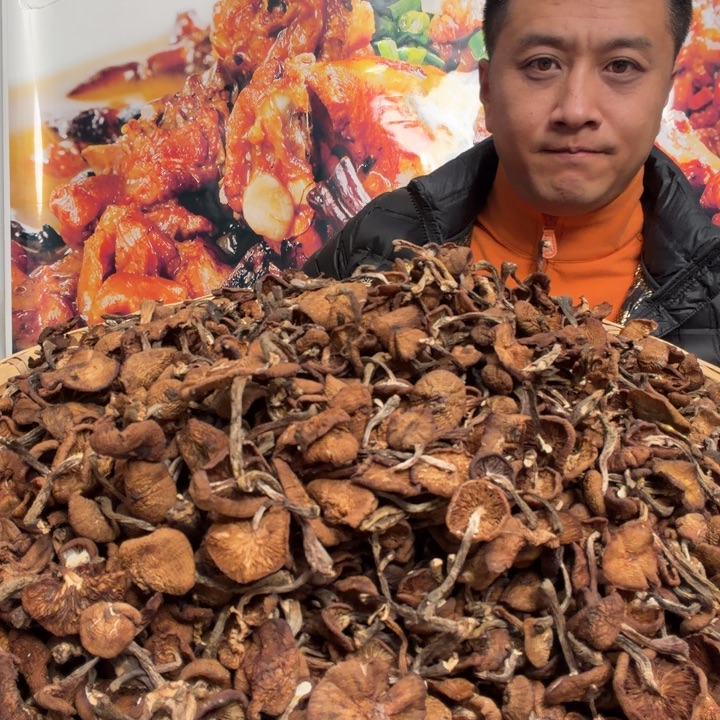 干榛蘑500克中国大陆