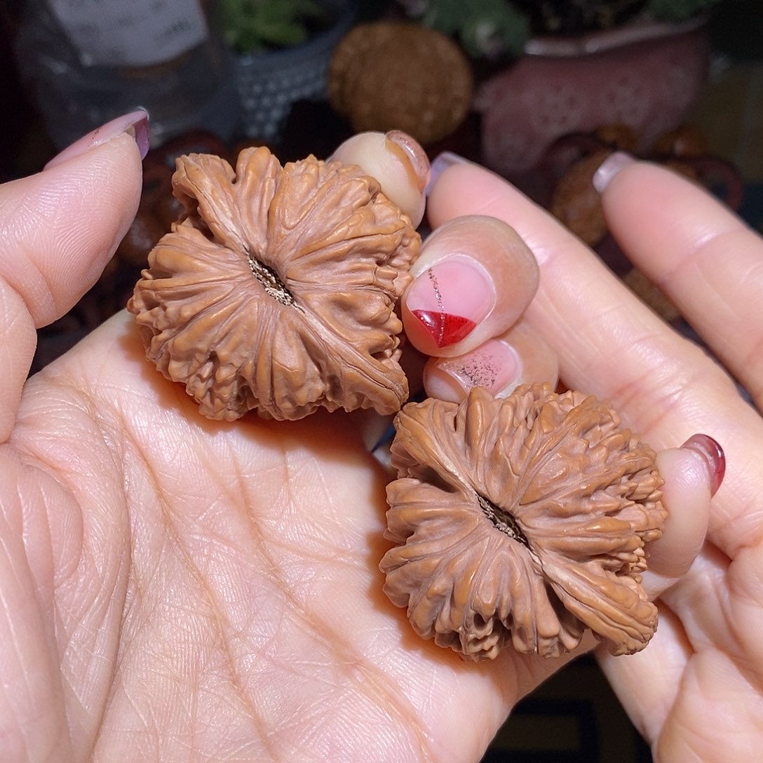 文玩核桃把件43楼子