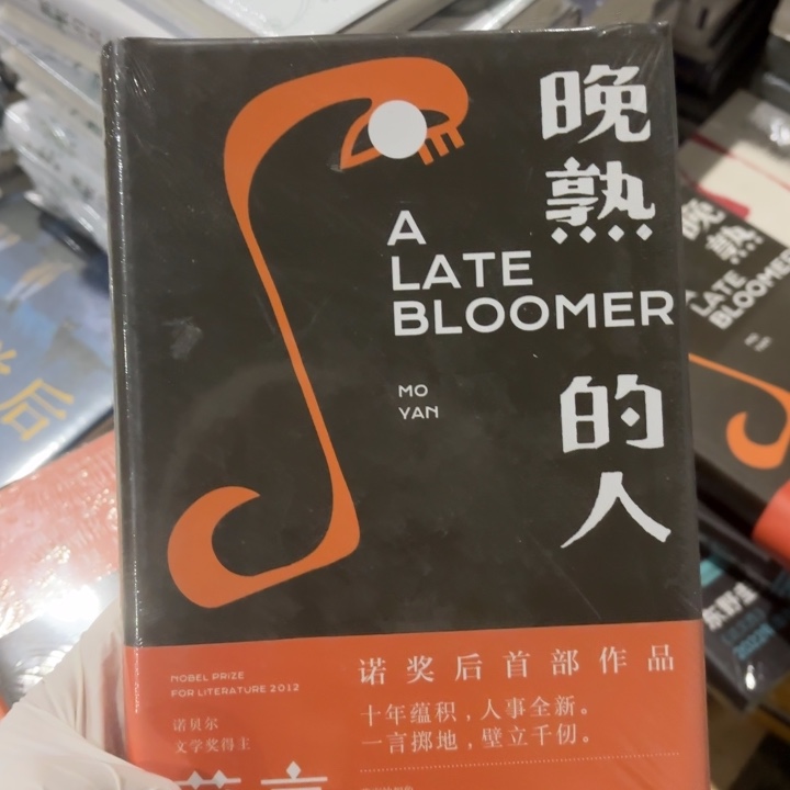 晚熟的人 闪购师傅13