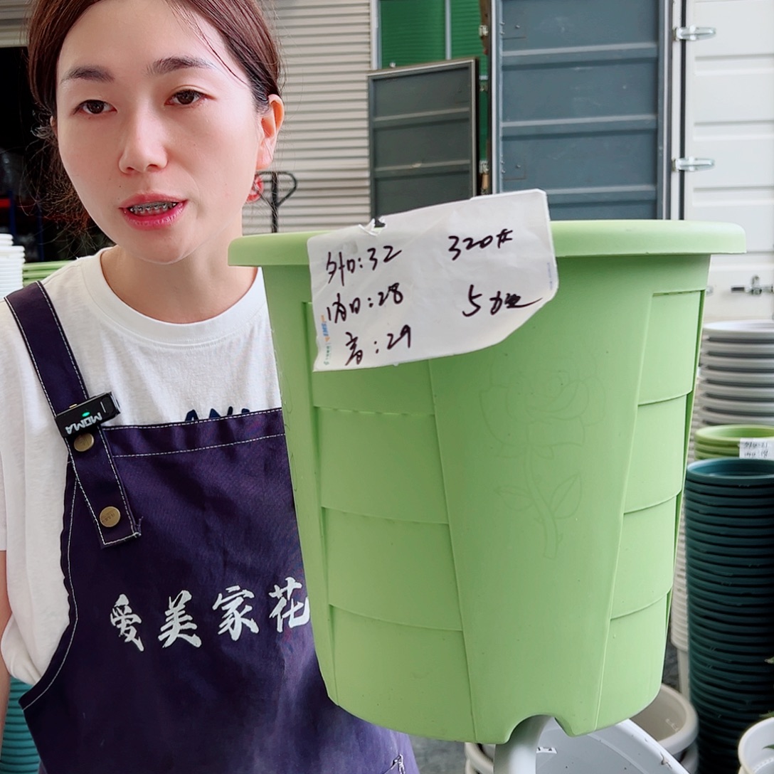 玫瑰盆320#果绿5个无托