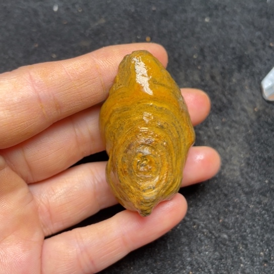 石材纯天然奇石原石57