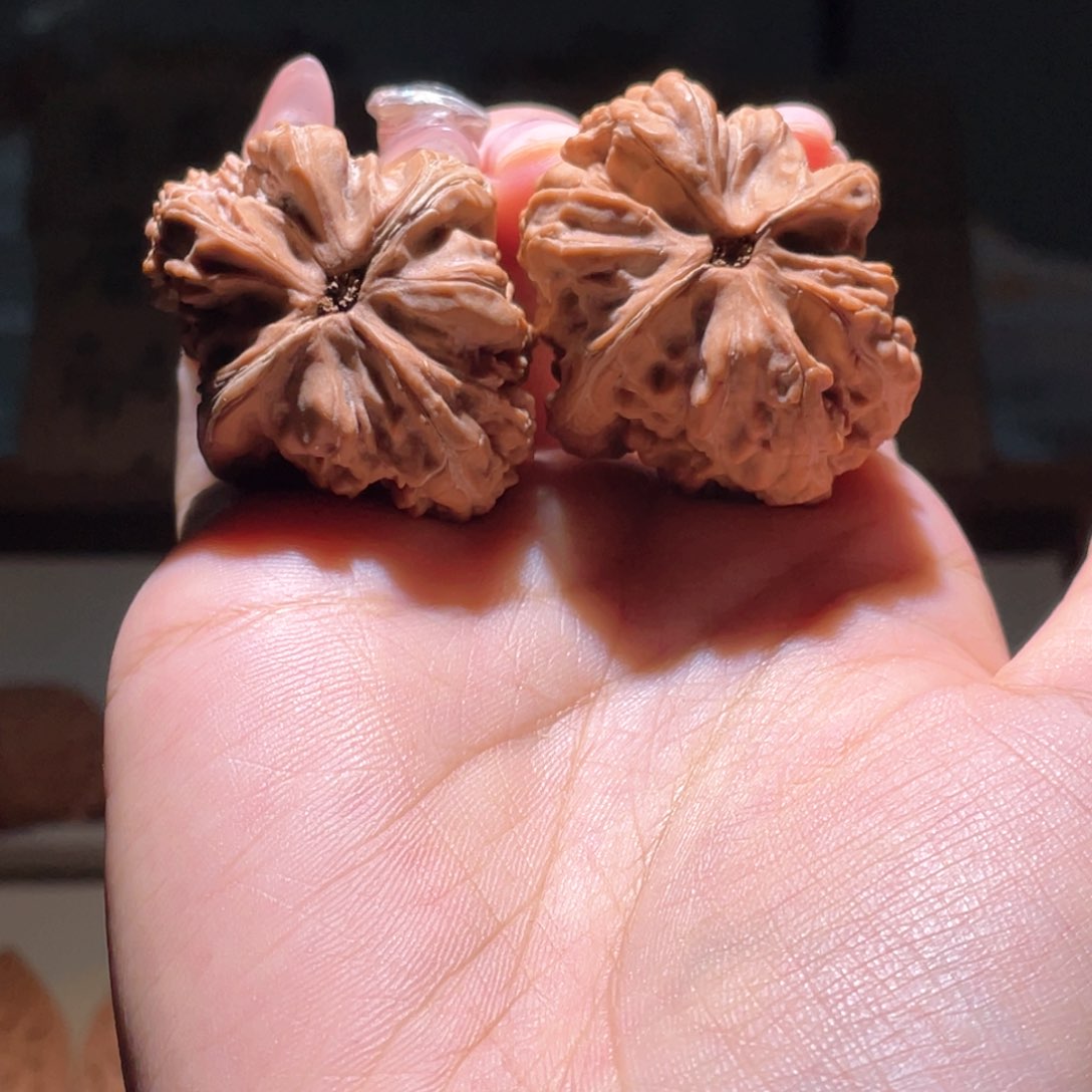 文玩核桃把件我***都v vvvvvvvv b v g g