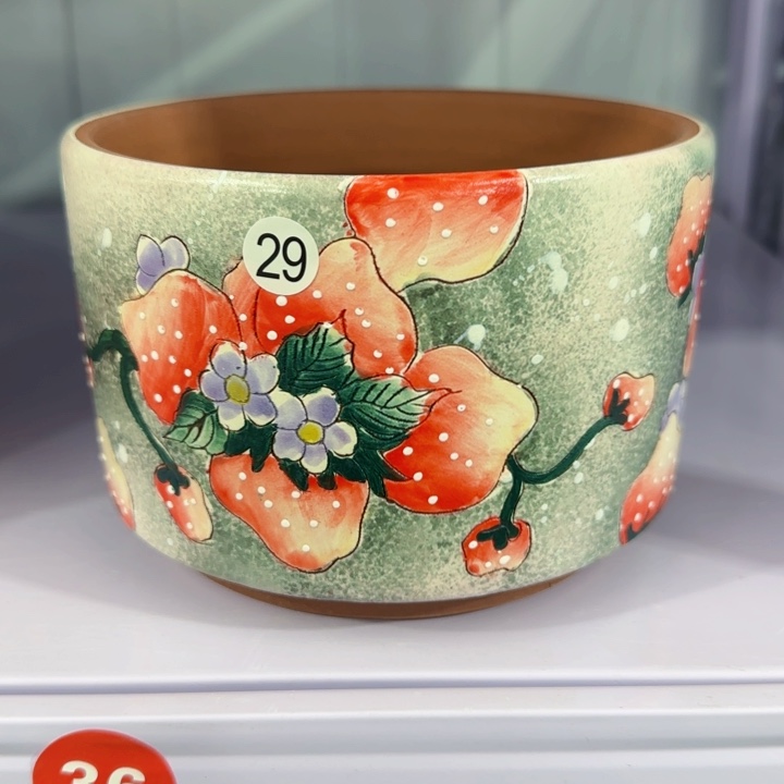 红陶口14高10.5左右