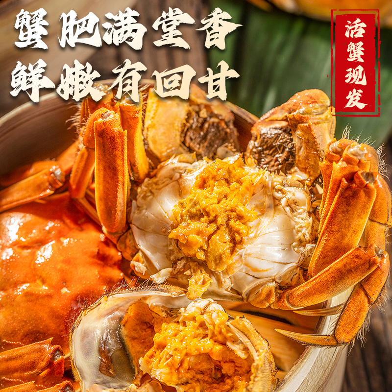 【活蟹】江苏金标大闸蟹公蟹6.0-5.7两两母蟹4.0-3.7两8只加2只B1