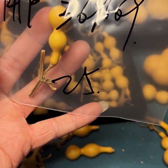 迷你小子钻手把罩子揉小葫芦二